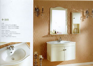 沈陽(yáng)中德標(biāo)致衛(wèi)浴 專業(yè)衛(wèi)浴潔具批發(fā)與直銷的首選